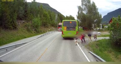 wybieganie zza autobusu