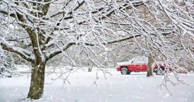 Auto na LPG w warunkach zimowych